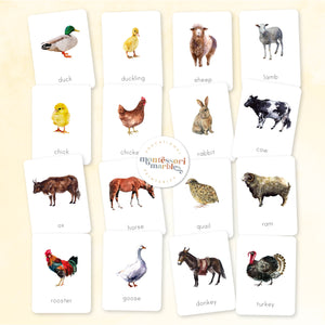 Farm Animals Flash Cards