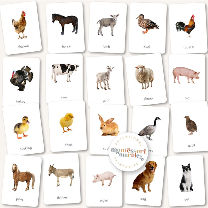 Animals Flash Cards Bundle
