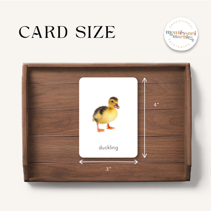 Farm Animals Flash Cards