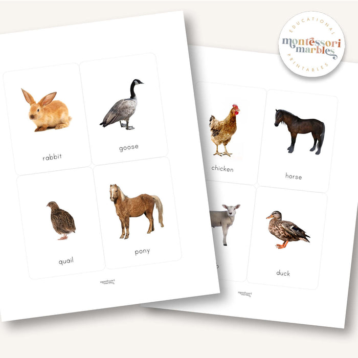 Farm Animals Flash Cards