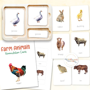 Farm Animals Nomenclature Cards