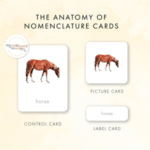 Farm Animals Nomenclature Cards