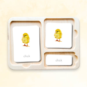 Farm Animals Nomenclature Cards