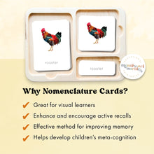 Load image into Gallery viewer, Farm Animals Nomenclature Cards
