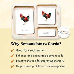 Farm Animals Nomenclature Cards