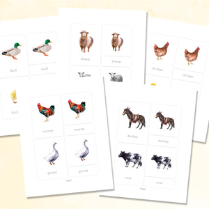 Farm Animals Nomenclature Cards