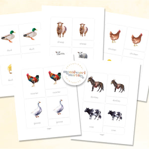 Farm Animals Nomenclature Cards