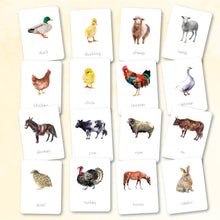 Load image into Gallery viewer, Farm Animals Nomenclature Cards
