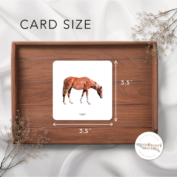 FARM ANIMALS Picture Matching and Memory Games