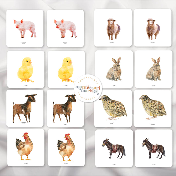 FARM ANIMALS Picture Matching and Memory Games