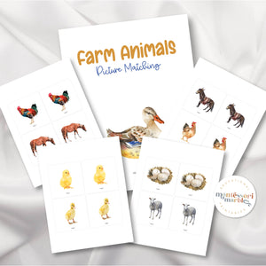 FARM ANIMALS Picture Matching and Memory Games