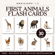 Basic animal flash cards for toddler vocabulary introduction