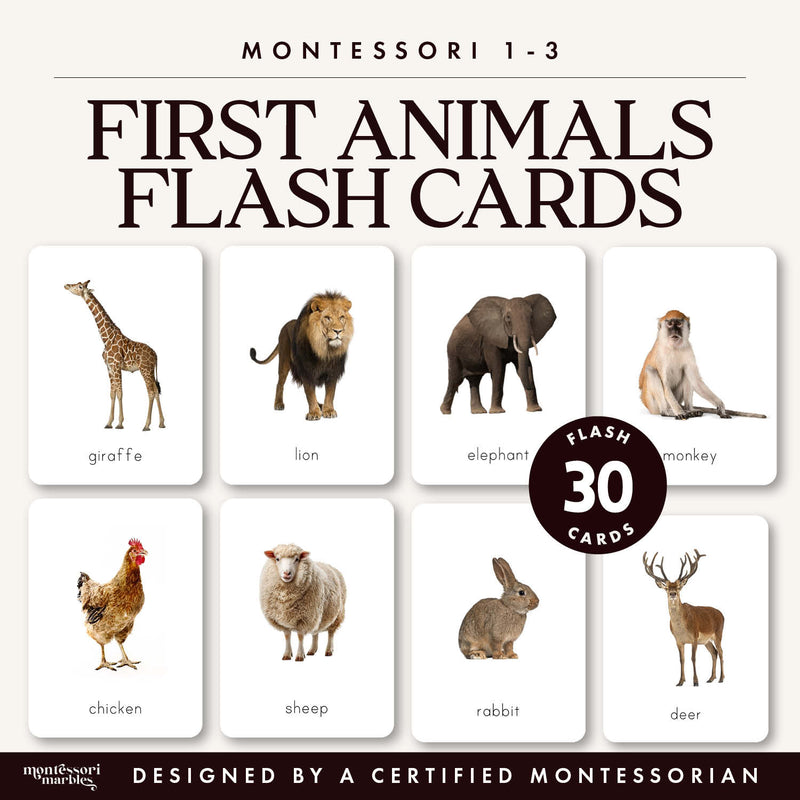 Basic animal flash cards for toddler vocabulary introduction