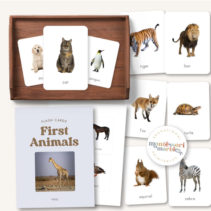 First Animals Flash Cards