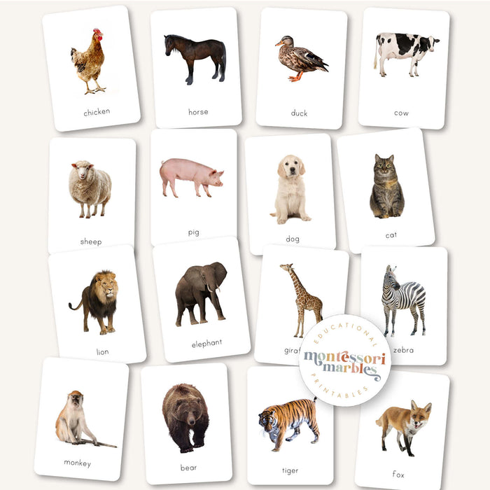 First Animals Flash Cards