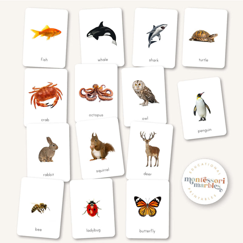 First Animals Flash Cards