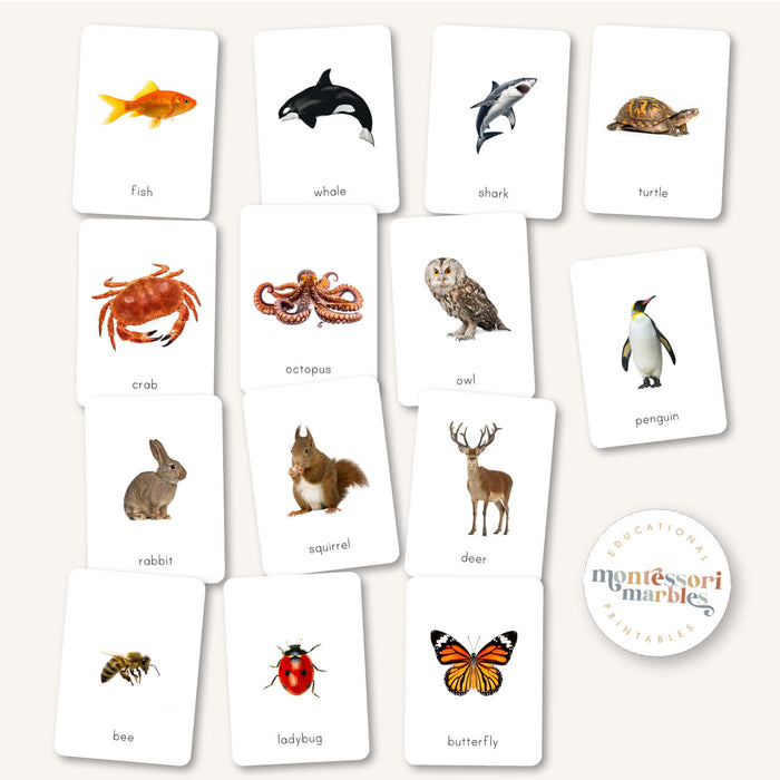 First Animals Flash Cards