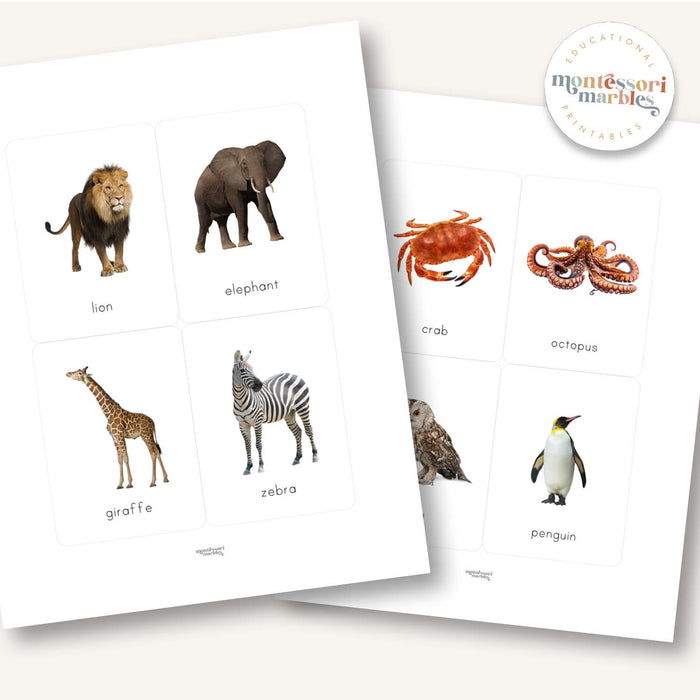 First Animals Flash Cards