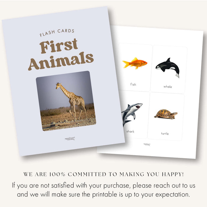 First Animals Flash Cards
