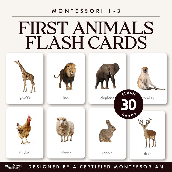 First Animals Flash Cards