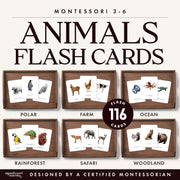 Animal habitats bundle with flash cards for ecosystem vocabulary — ages 3-6