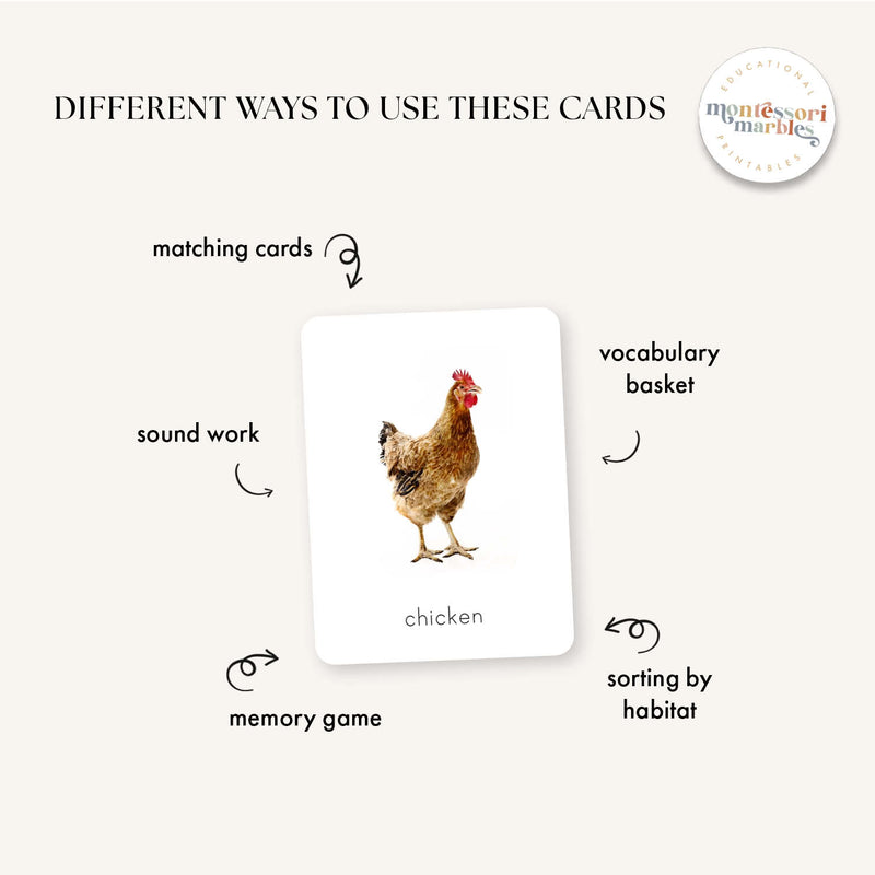 Animals Flash Cards Bundle