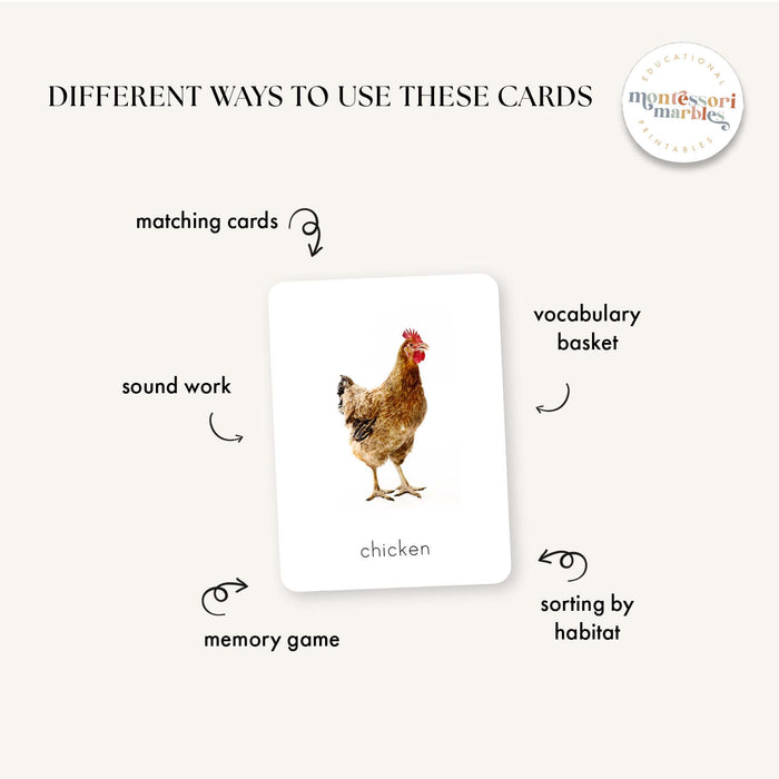 Animals Flash Cards Bundle
