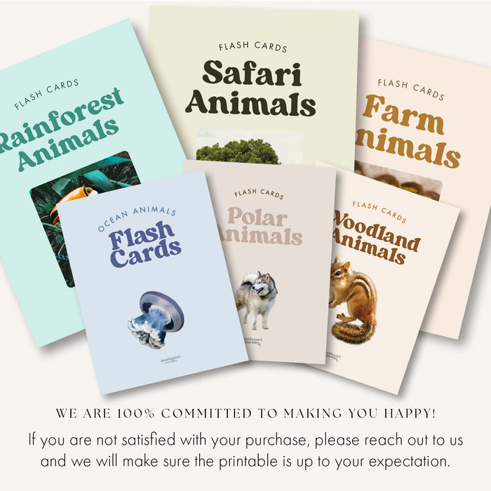 Animals Flash Cards Bundle