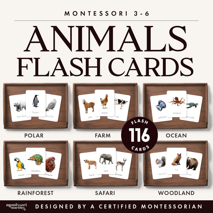 Animals Flash Cards Bundle