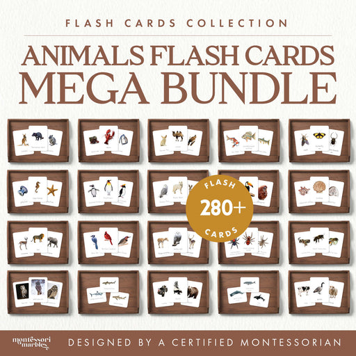 Comprehensive animal flash card collection spanning all habitats