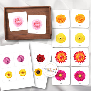 Flowers Picture Matching and Memory Games