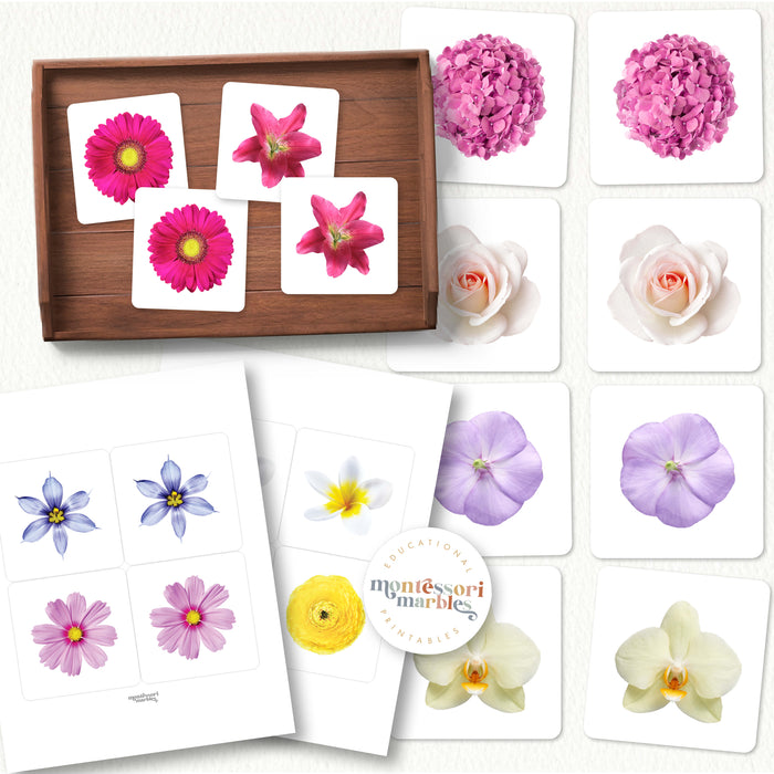 Flowers Picture Matching and Memory Games