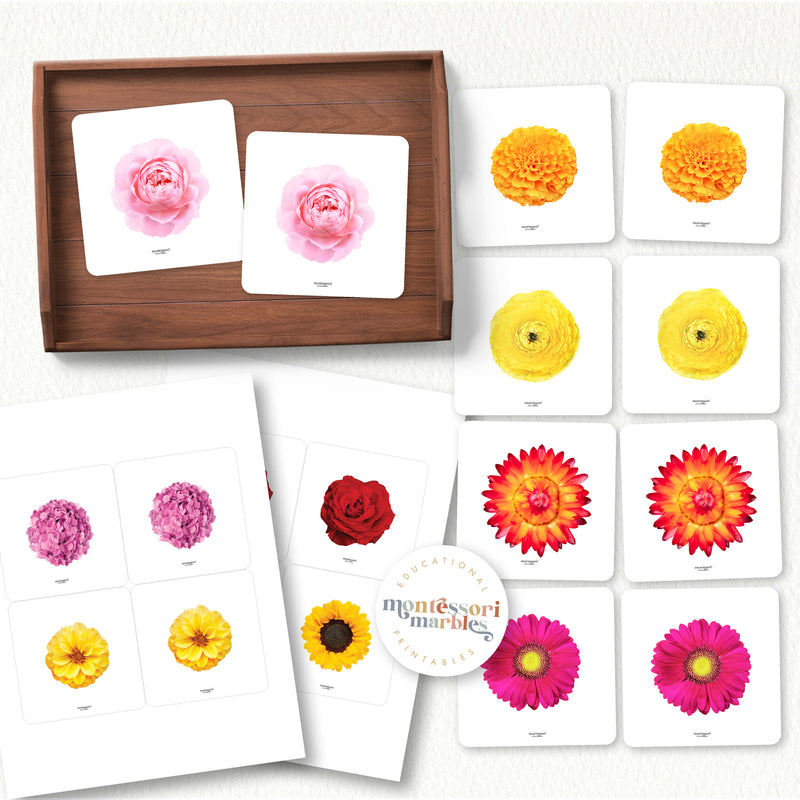 Spring Flowers Mini Bundle