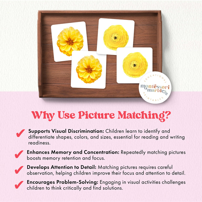 Flowers Picture Matching and Memory Games