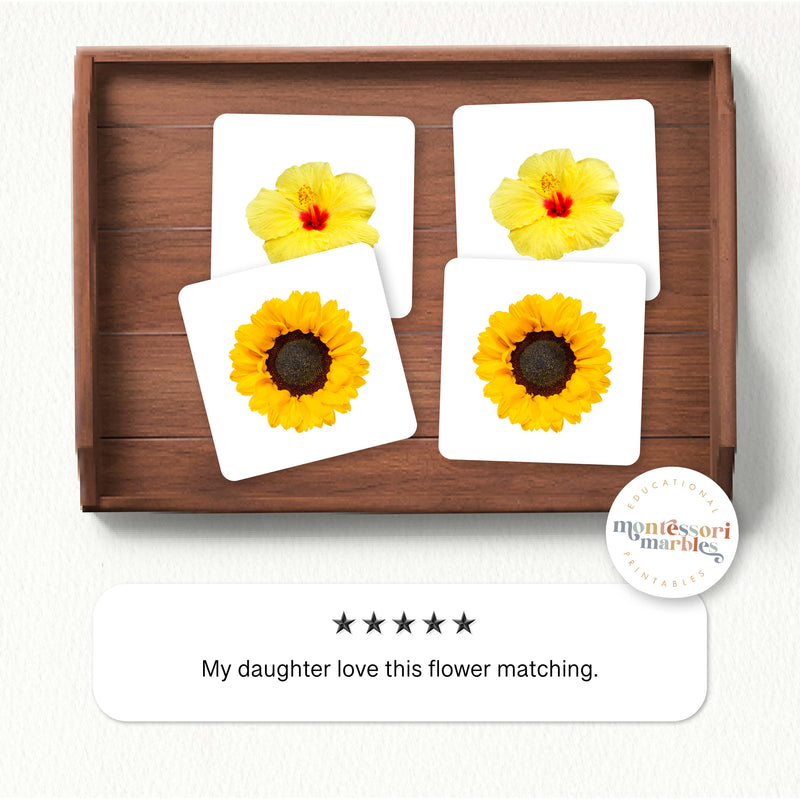 Flowers Picture Matching and Memory Games