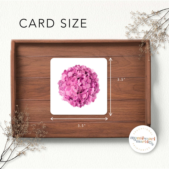 Flowers Picture Matching and Memory Games