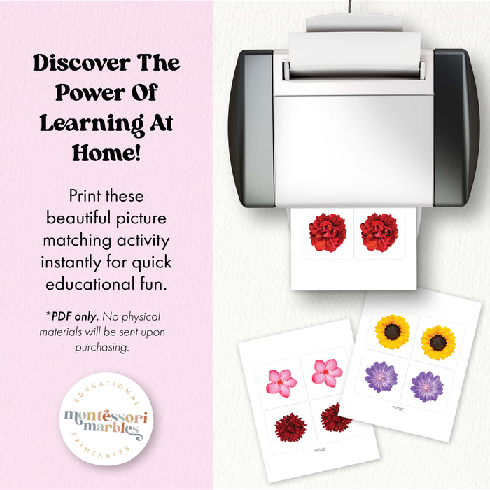 Flowers Picture Matching and Memory Games