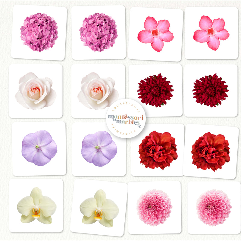 Flowers Picture Matching and Memory Games