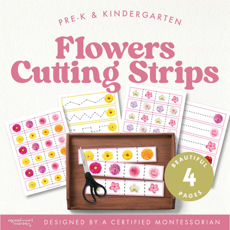 Flower cutting strips for fine motor practice — Montessori, ages 3-6