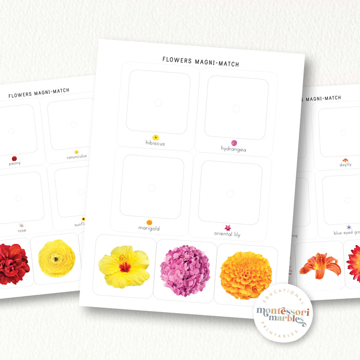 Flowers Magni-Match
