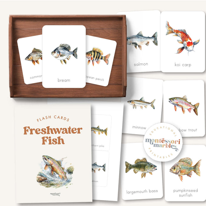 Freshwater Fish Flash Cards
