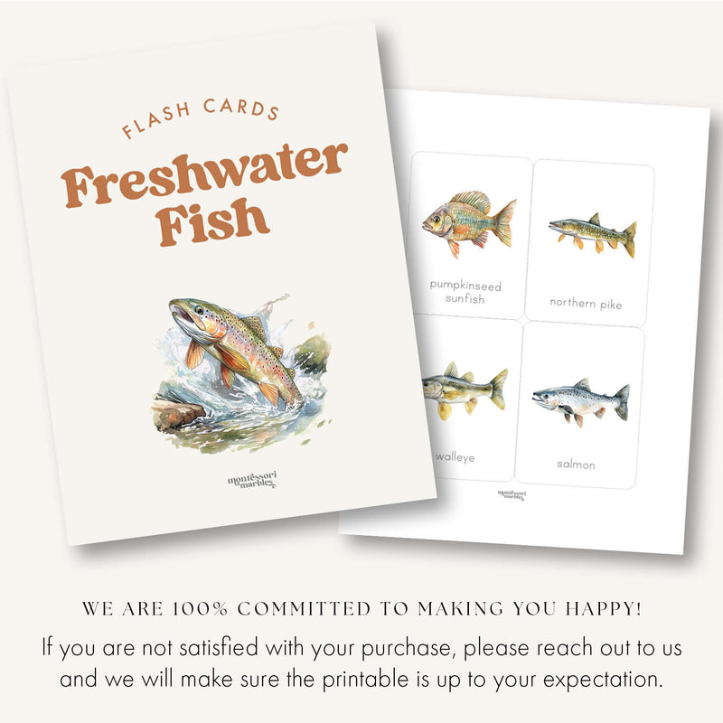 Freshwater Fish Flash Cards