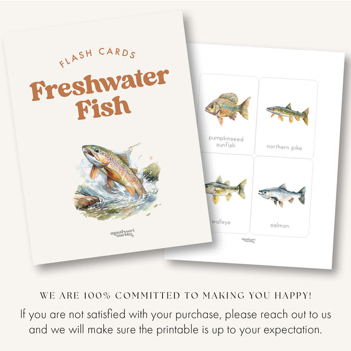 Freshwater Fish Flash Cards