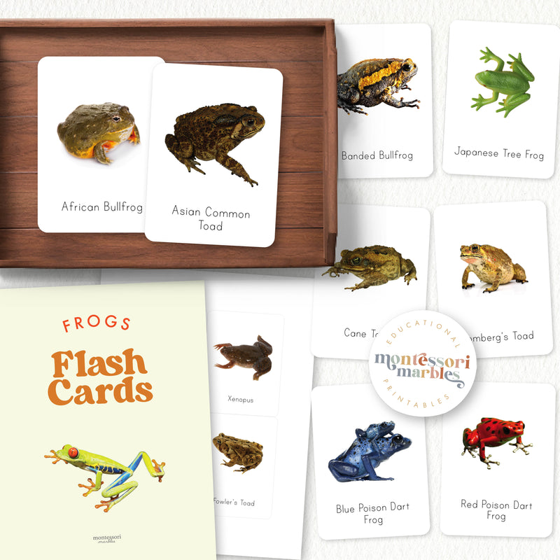 Frogs Flash Cards