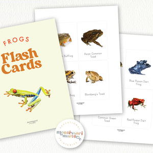 Frogs Flash Cards