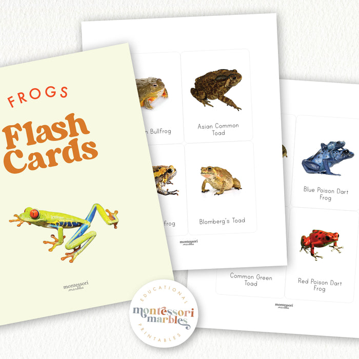 Frogs Flash Cards