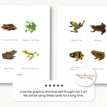 Load image into Gallery viewer, Frogs Flash Cards
