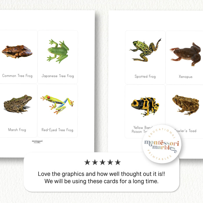 Frogs Flash Cards