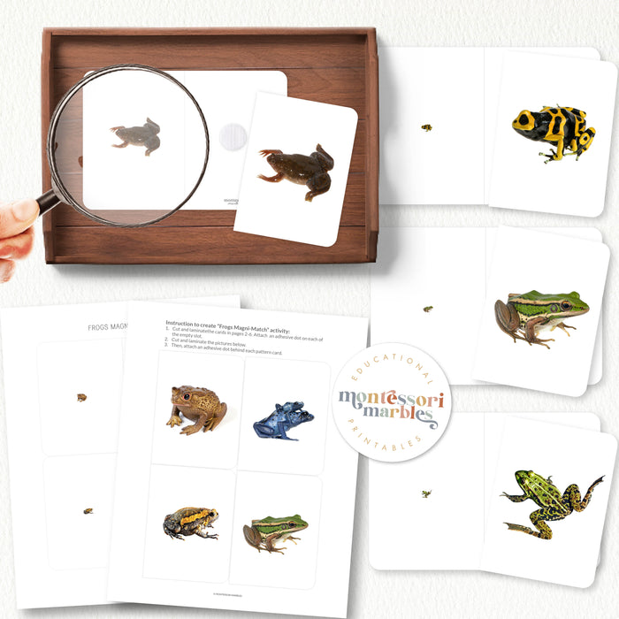 Frogs Magni-Match