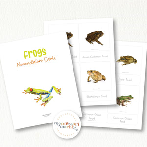 Frogs Nomenclature Cards